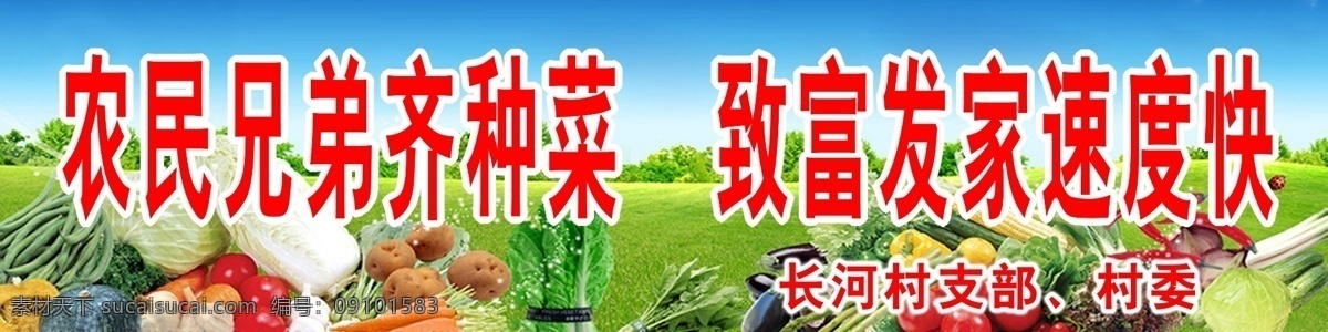 蔬菜 基地 白菜 草地 胡萝卜 黄瓜 蓝天 南瓜 茄子 蔬菜水果 蔬菜水果图片 蔬菜基地 新鲜蔬菜水果 辣叔 土豆 蕃茄 玉米 psd源文件