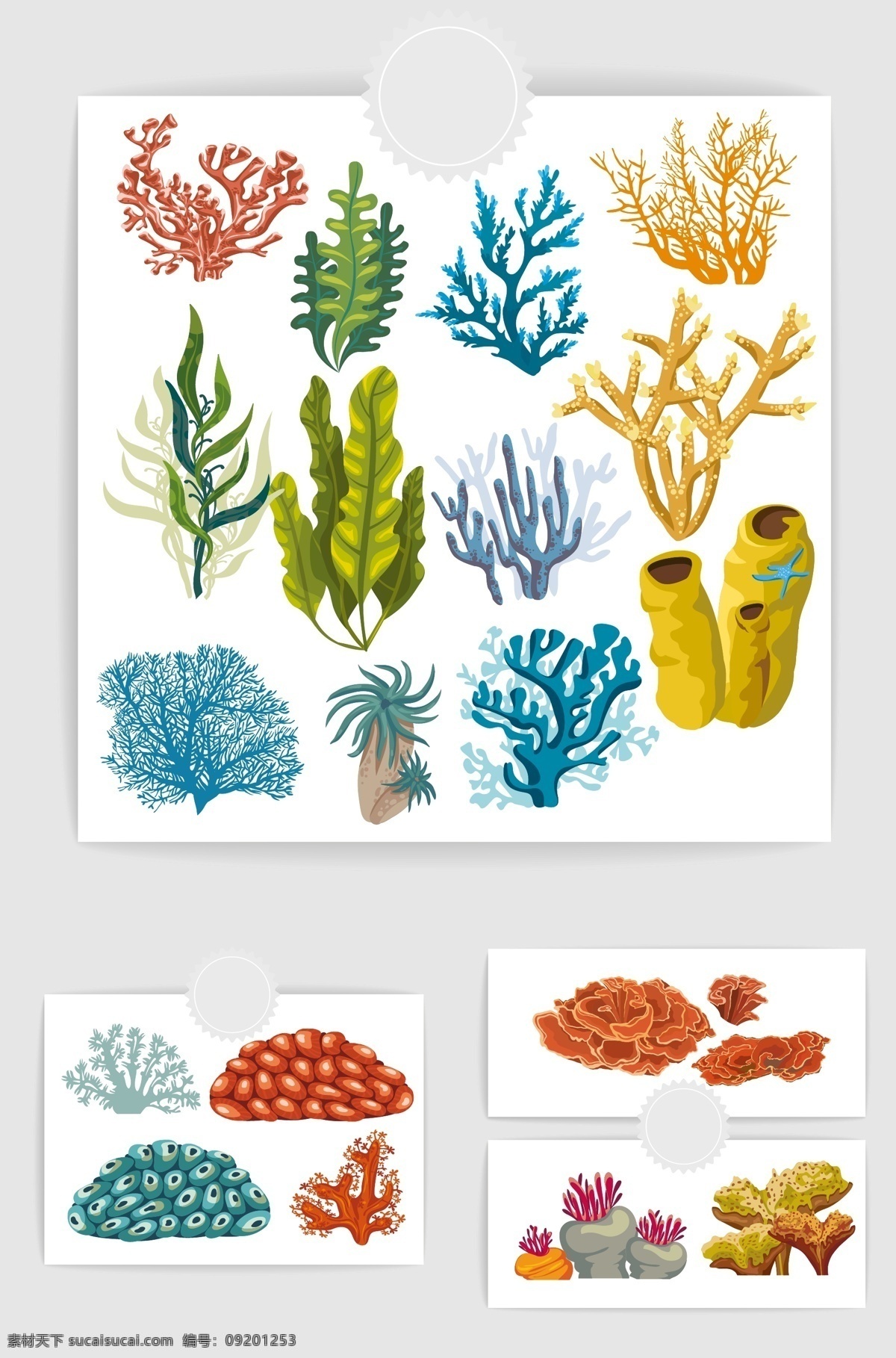 海洋植物 海草 珊瑚草 珊瑚 海底植物 大海深处 矢量 生物世界 海洋生物