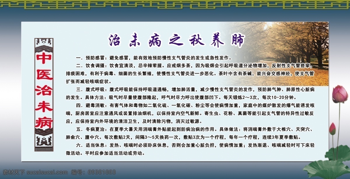 冬病夏治 广告设计模板 写真 宣传 源文件 展板 展板模板 治未病 中医 秋 养 肺 模板下载 秋养肺 海报 其他海报设计