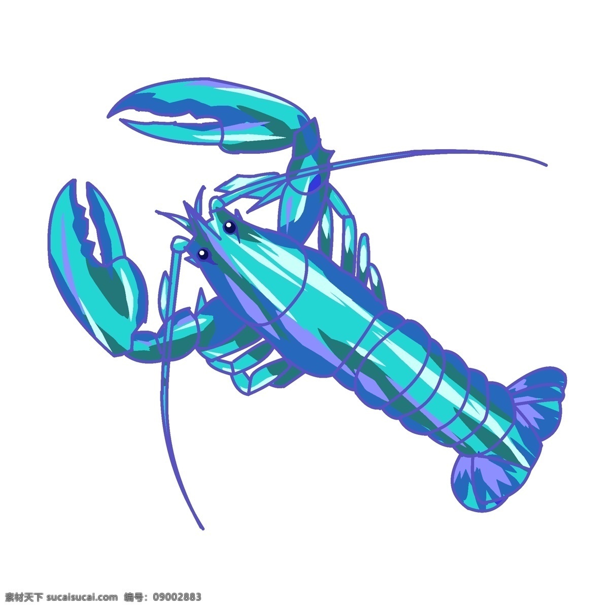 漂亮 蓝色 小 龙虾 小龙虾 海鲜 动物