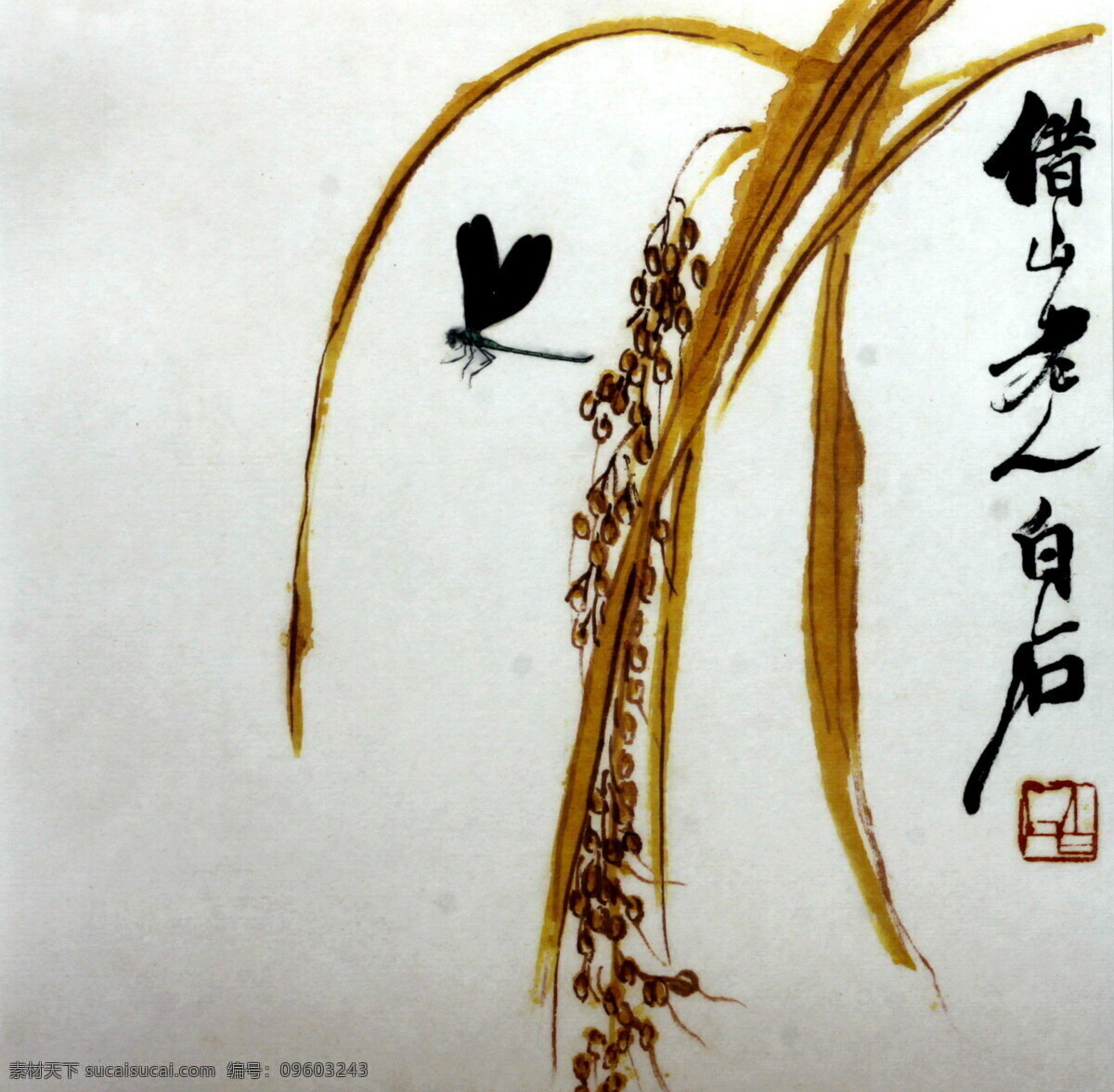 齐白石画 齐白石 画 国画 稻子 水稻 蜻蜓 艺术 文化艺术 传统文化 绘画书法