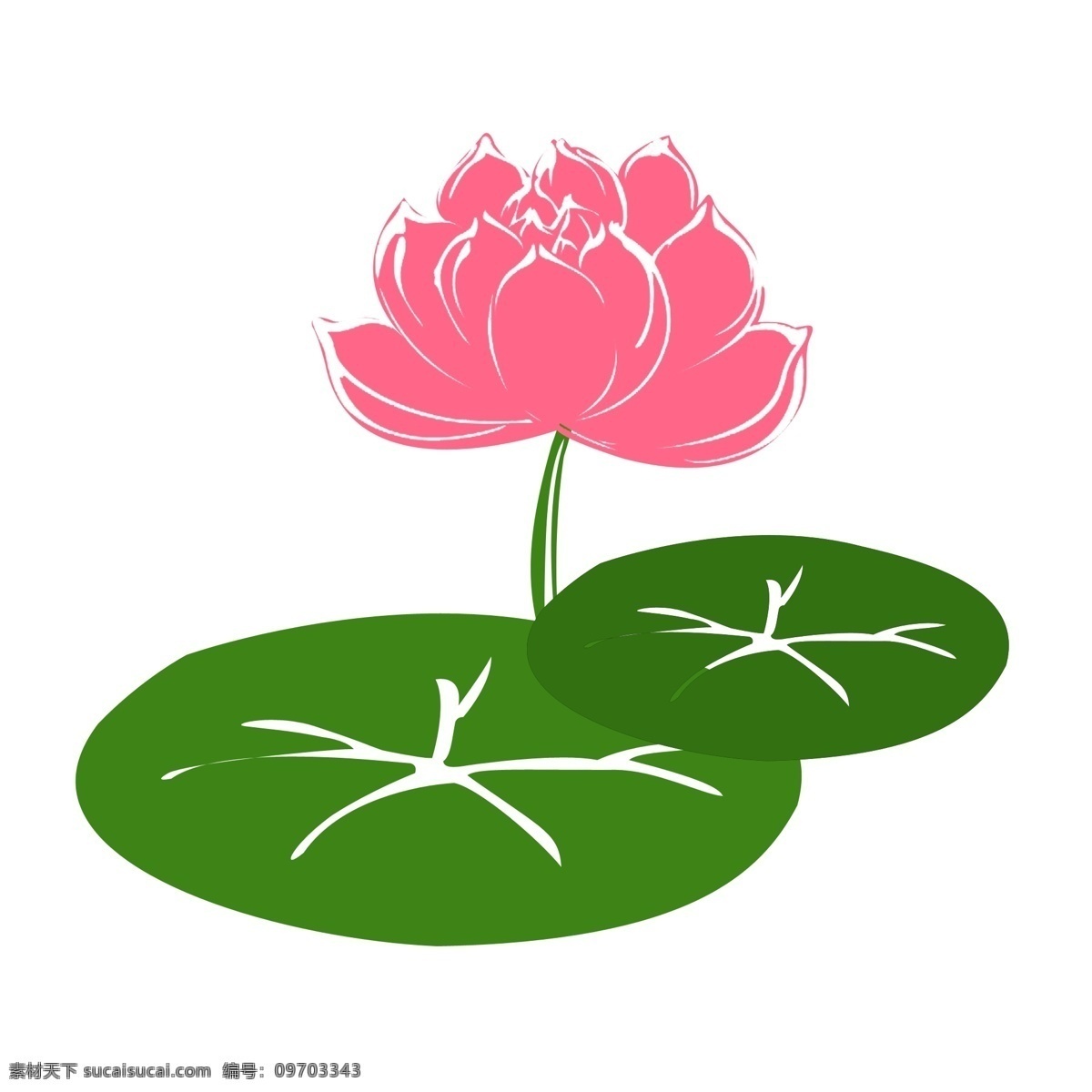 夏日 荷花 彩色 荷叶 卡通 免抠 通用 透明底 无背景 装饰设计 平面设计