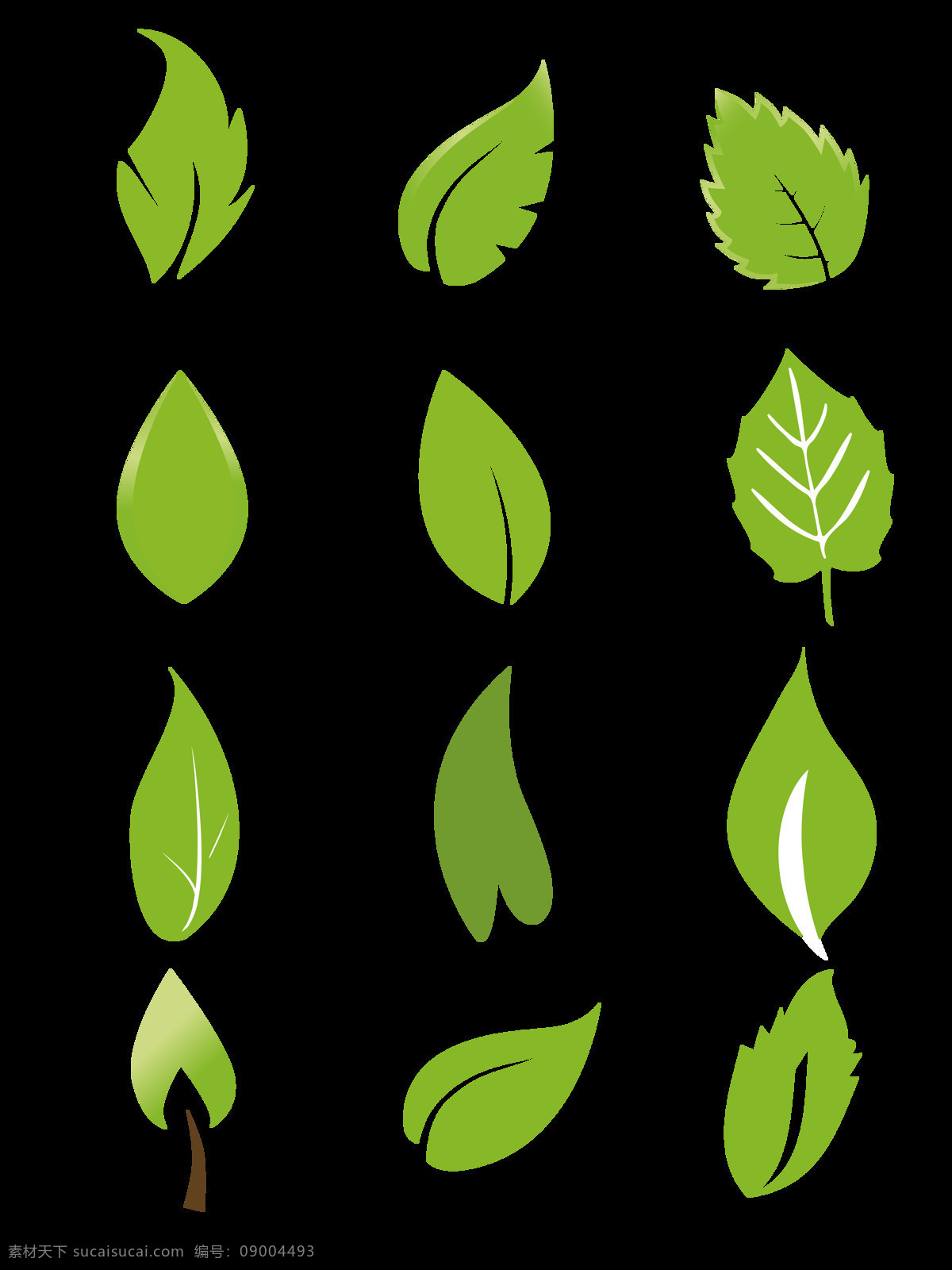 绿色 生命 造型 生态 生物世界 树木树叶