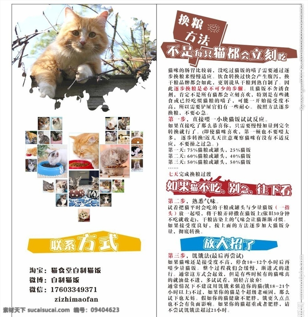 猫粮单页 猫粮 单页 猫食堂 自制 猫饭 dm宣传单