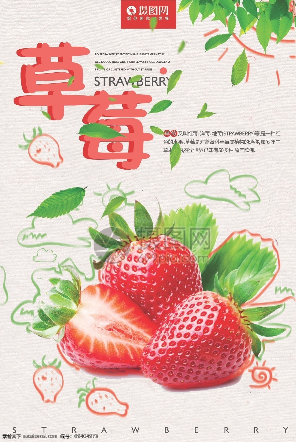 新鲜 红色 草莓 海报 水果 健康 绿色 有机 营养 维生素 草莓水果 手绘 水果促销 促销海报