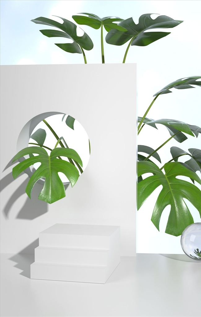 植物 场景 c4d 白色 清新 产品 背景 3d设计 3d作品