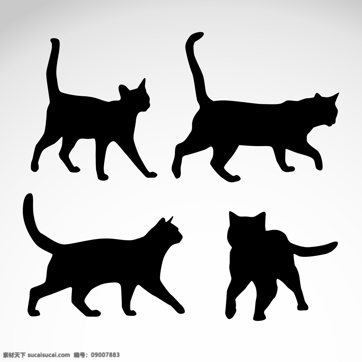 手绘猫素材 猫 卡通猫 可爱猫 动物 卡通动物 卡通设计 矢量素材