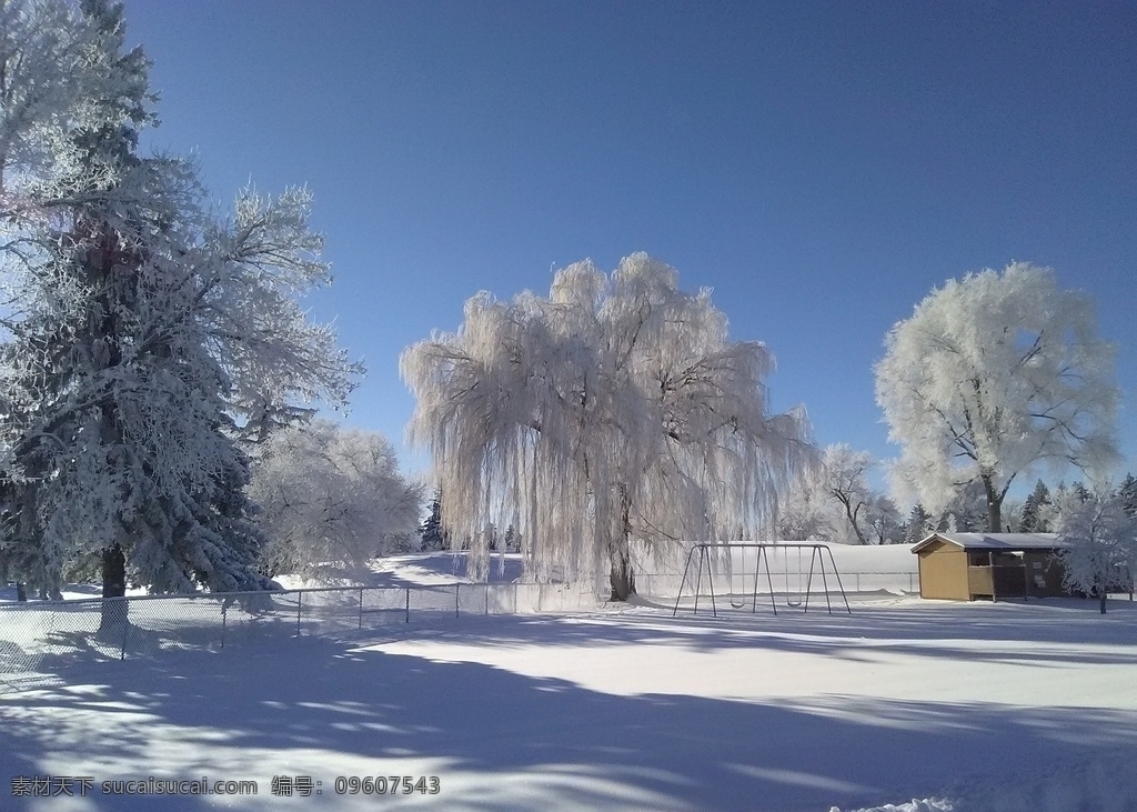 冰挂奇观 冬季 气温 冰挂奇景 银装素裹 寒冷 自然景观 自然风景