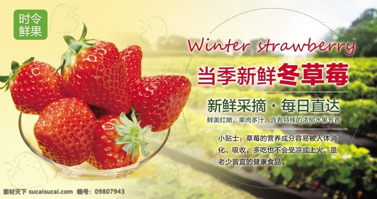 草莓图片 草莓展板 草莓文化 草莓挂画 草莓挂图 草莓海报 草莓基地 摘草莓 草莓宣传图 分层