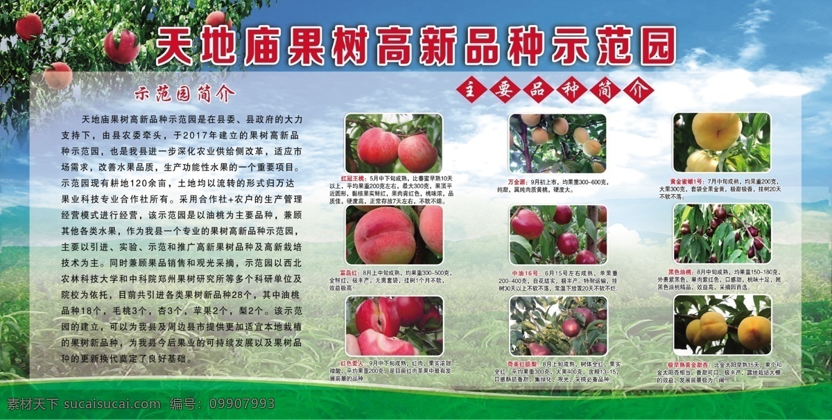 天地 庙 示范园 简介 天地庙 桃园 介绍 文化艺术