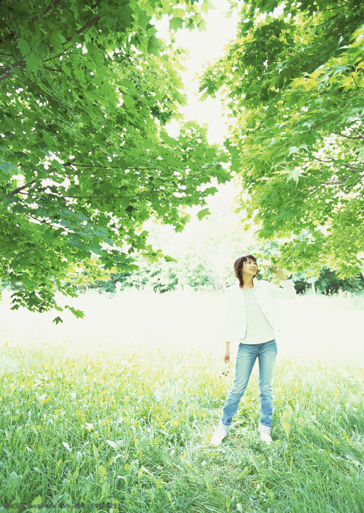 站 树下 女人 假日 休闲 干净 明媚 户外 旅行 人物 女性 意境 唯美 站立 草地 大树 树叶 摘树叶 美女图片 人物图片