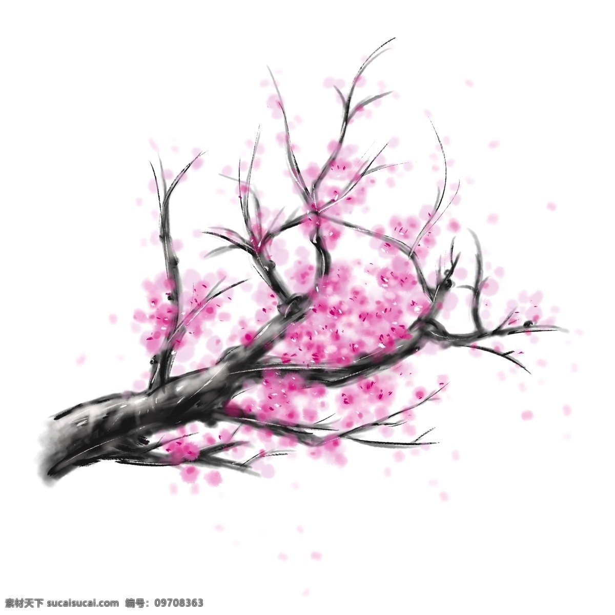 水墨 桃花 中 国风 风 优美 粉色 中国风 水墨画 水墨桃花 桃花素材 优美画风 优雅粉色桃花 美丽 飘散 无 底色