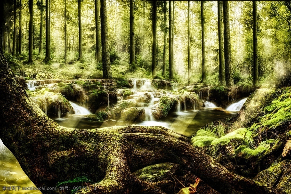 梦幻森林 梦幻 森林 丛林 树林 热带 雨林 童话 唯美 场景 背景 高清 合成 自然景观 自然风光