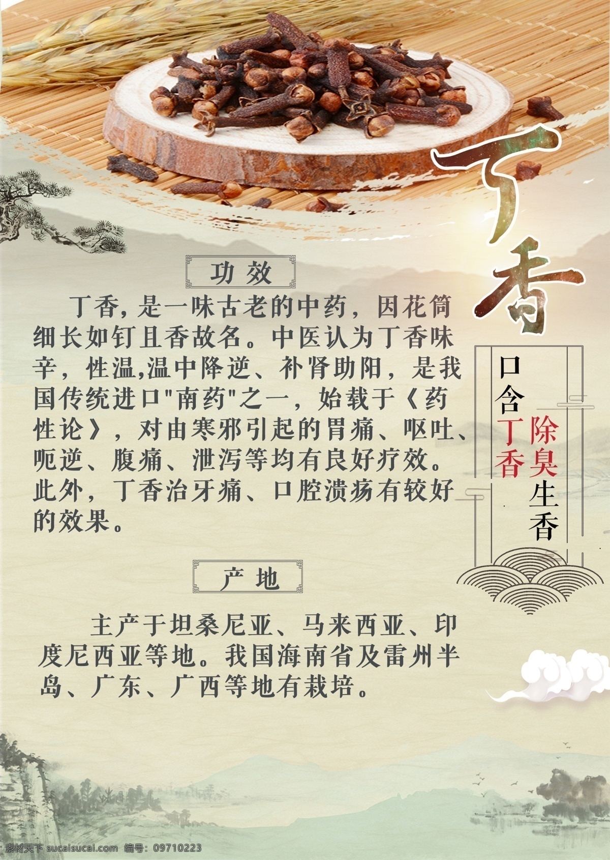 中药丁香海报 中药 中国风 古风 海报 丁香 除臭