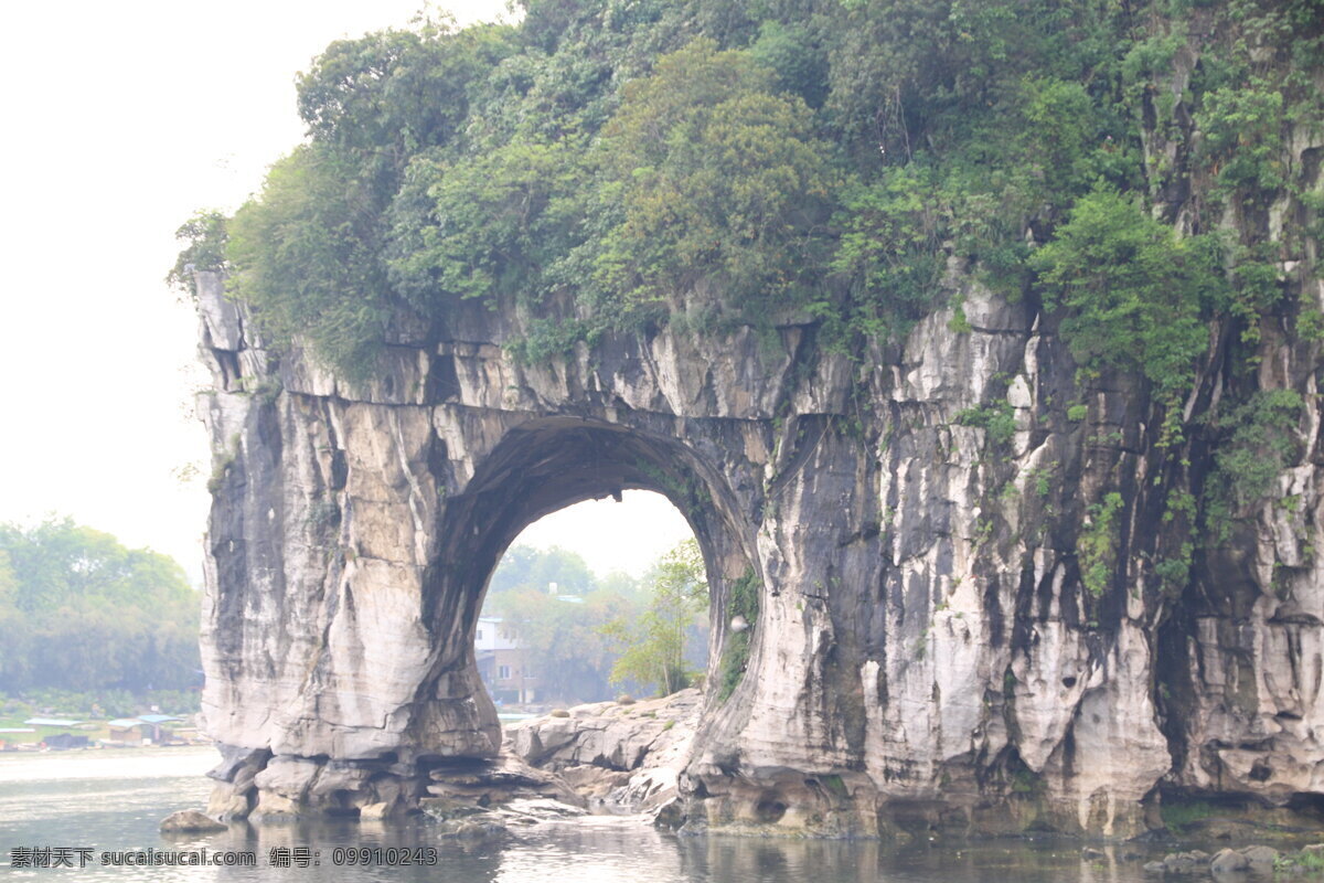 象鼻山 近景 桂林 公园 阴天 桂林风光 生物世界 花草