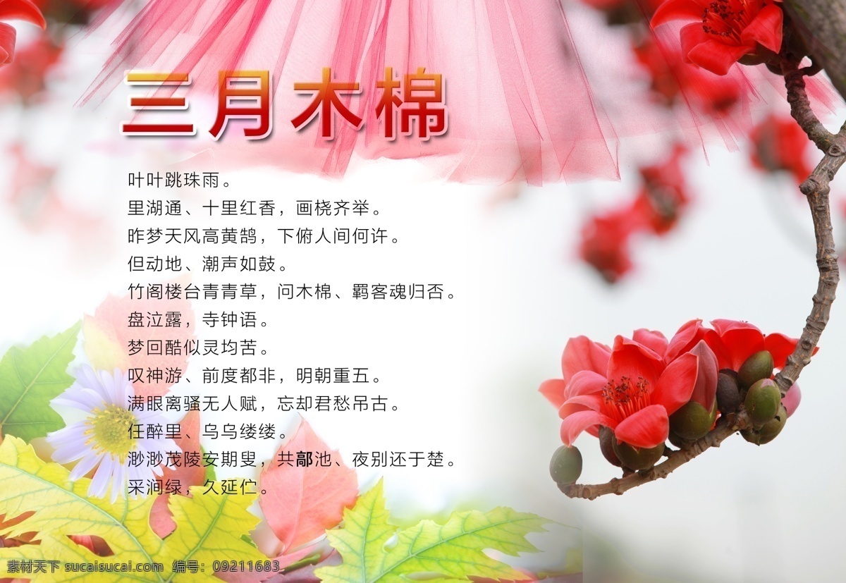 白花 白色 白色背景 春季 广告设计模板 红花 花朵 三月 木棉 模板下载 三月木棉 文字 中文 木棉花 花儿 海报 诗歌 叶子 叶 黄叶 树枝 枝叶 枝 源文件 海报背景图