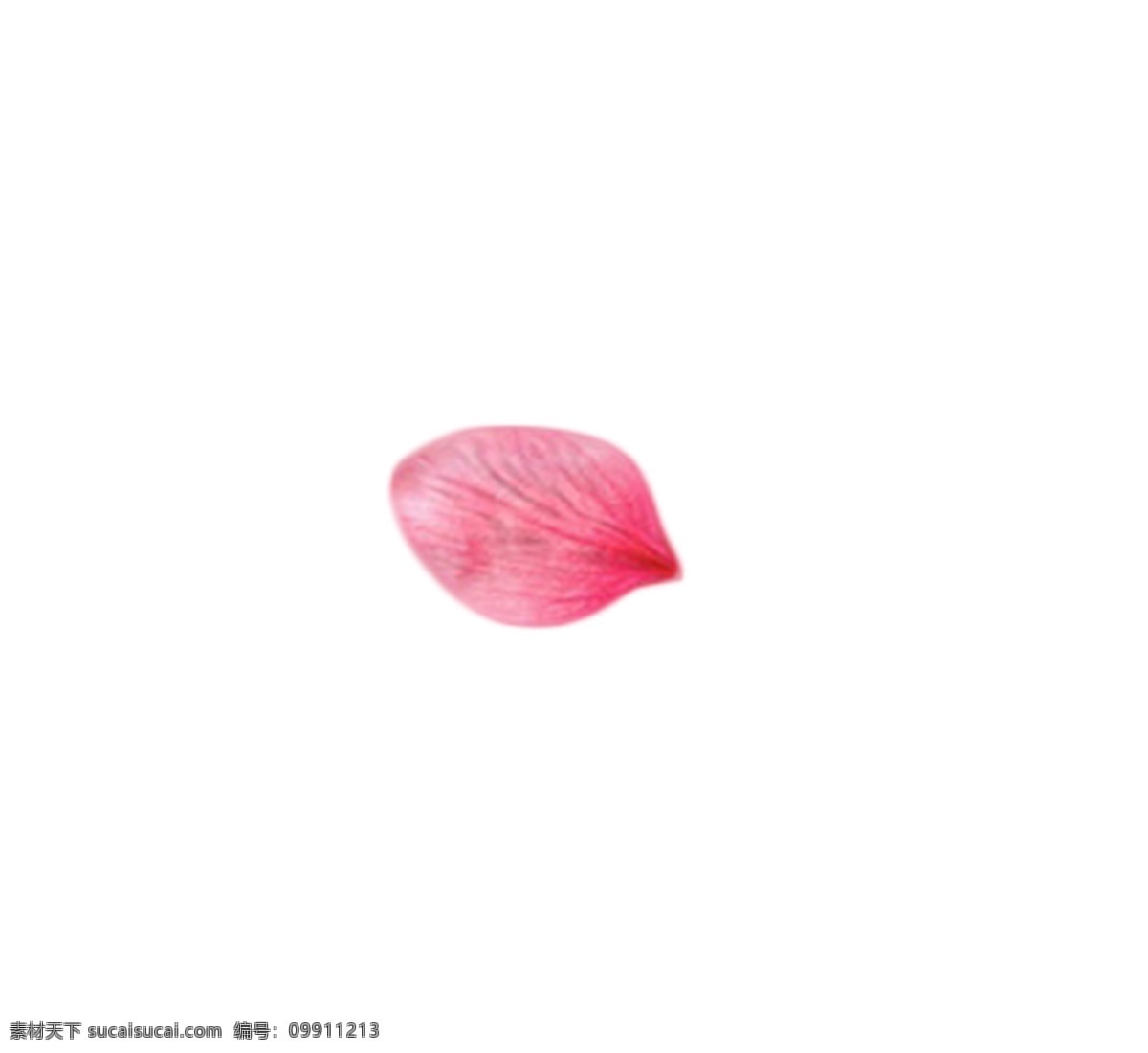 片 美丽 粉色 花瓣 芳香