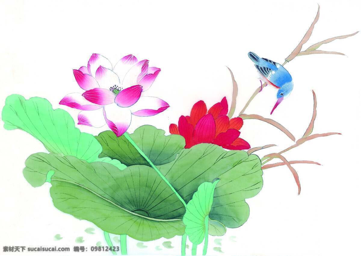 莲花 睥 小鸟 水墨画 中国画 中国艺术 绘画艺术 国画 装饰画 中堂画 书画 文化艺术 书画文字
