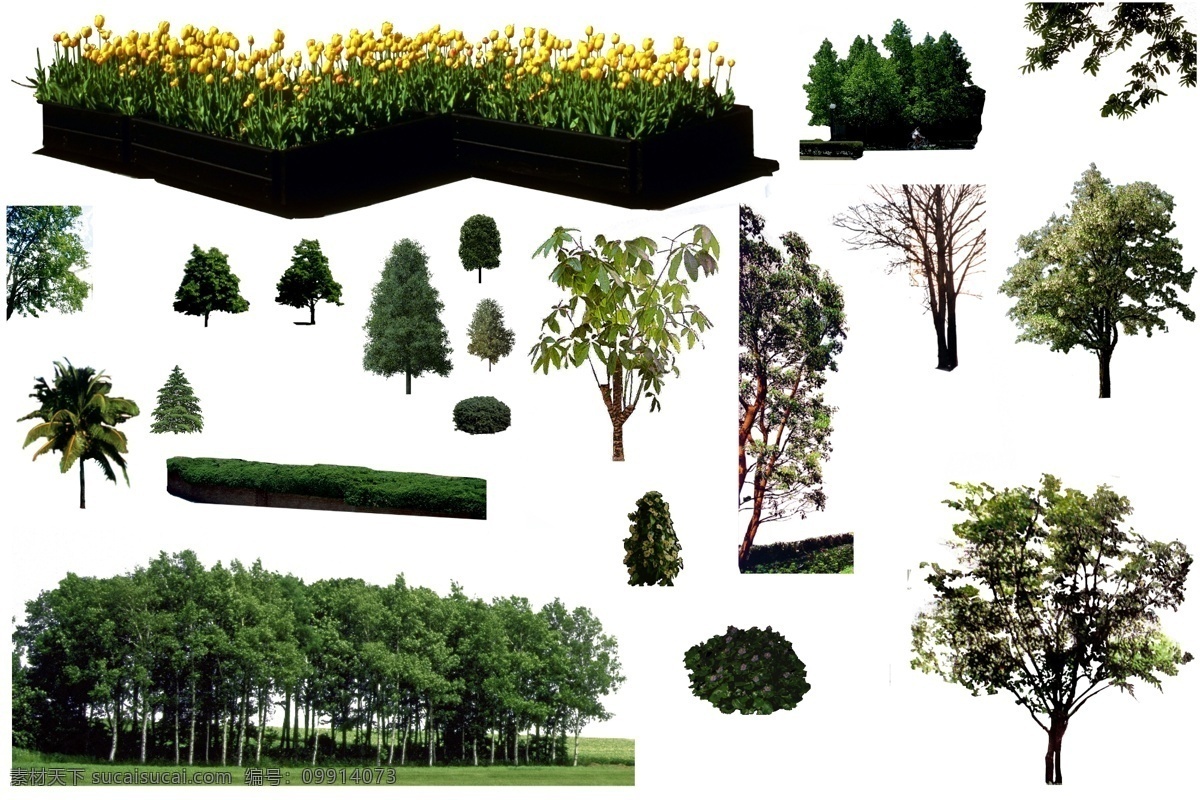 植物分层素材 植物 绿篱 植被 花台 花园 草坪 景观 分层 源文件