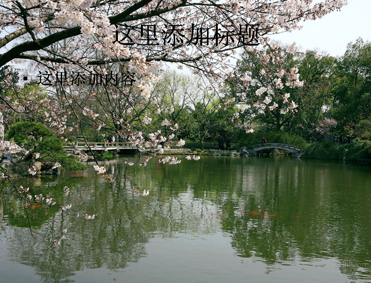 杭州西湖 十景 模板