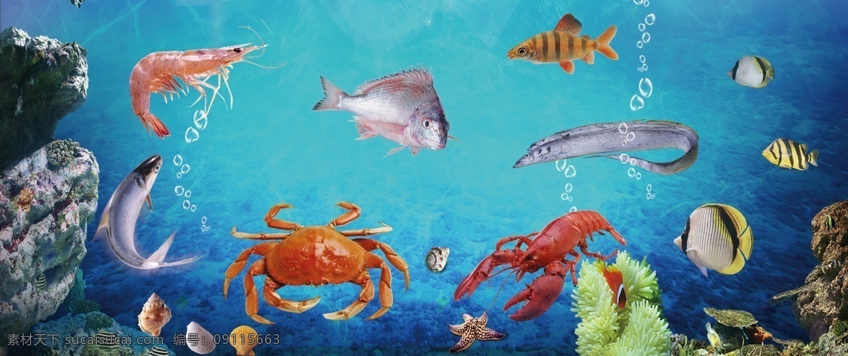 海鲜 饭店 背景 墙 蓝色背景墙 各类鱼 海底世界 展板模板