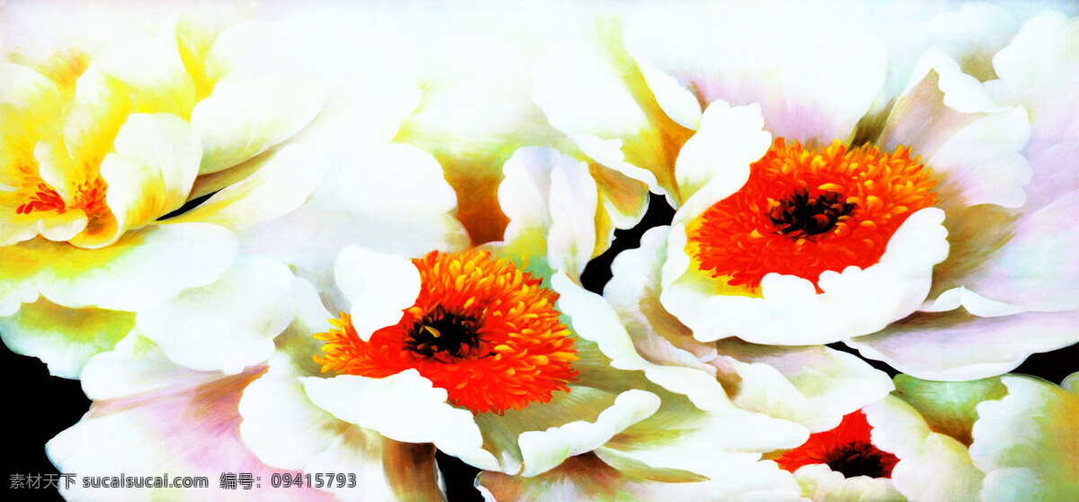 鲜花 玟瑰芘 牡丹花 白色