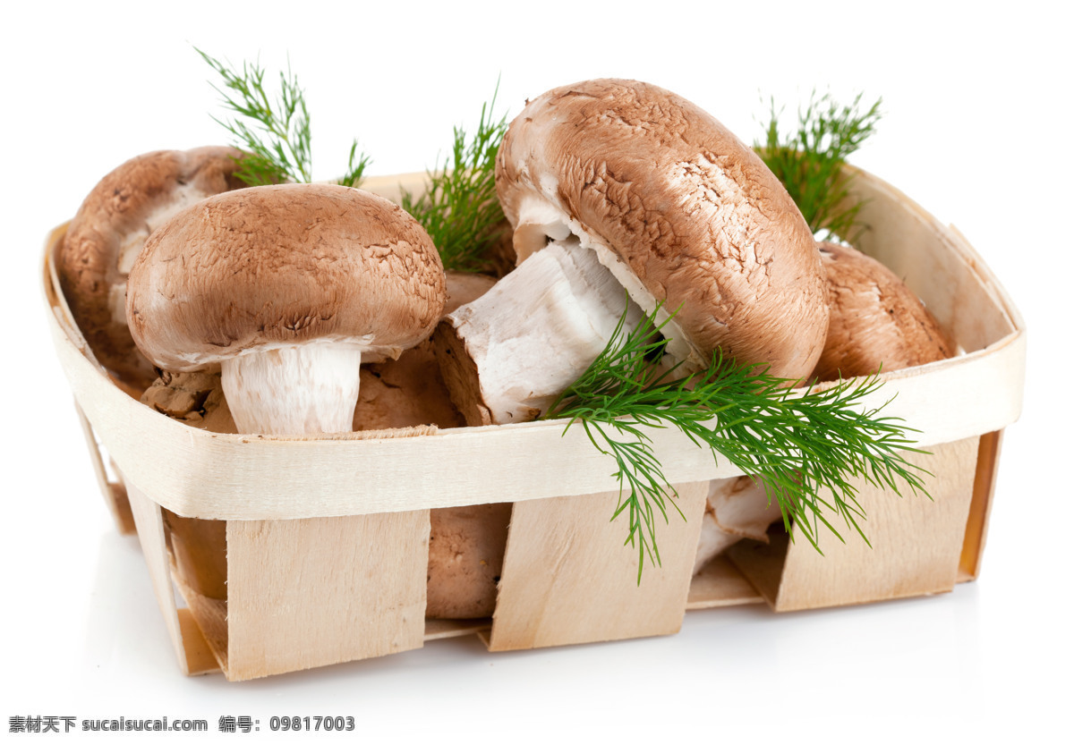 高清 木框 里 香菇 蔬菜 木筐 菜叶 高清图片