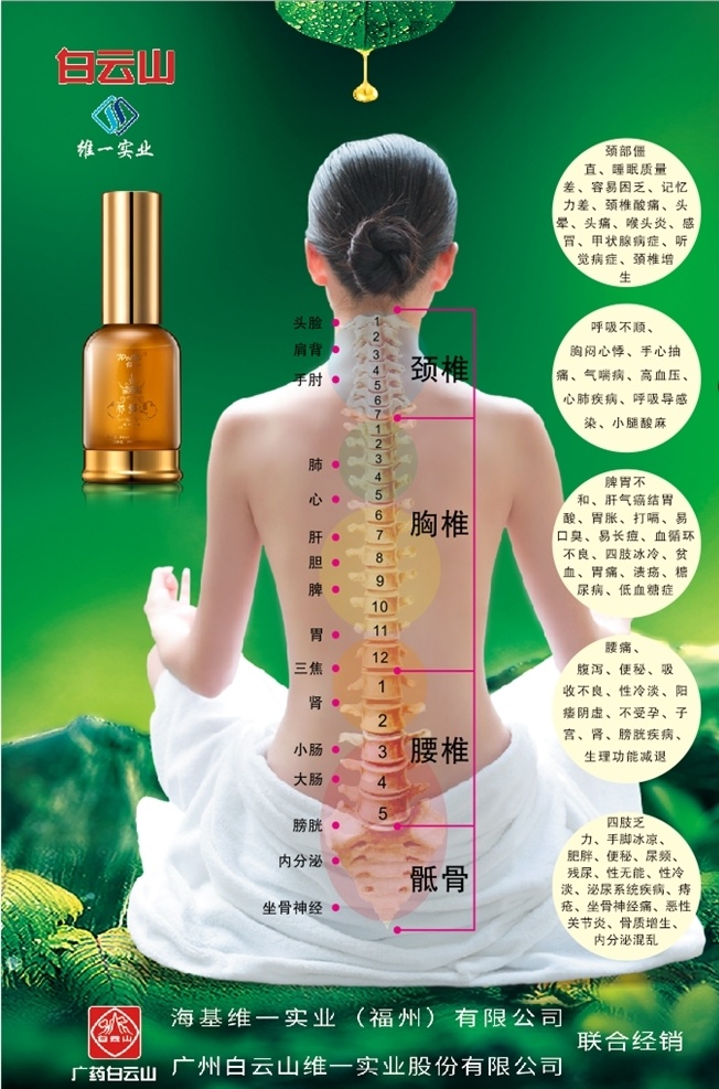 养生海报 白云山海报 人体分布图 白云山精油 养生人物