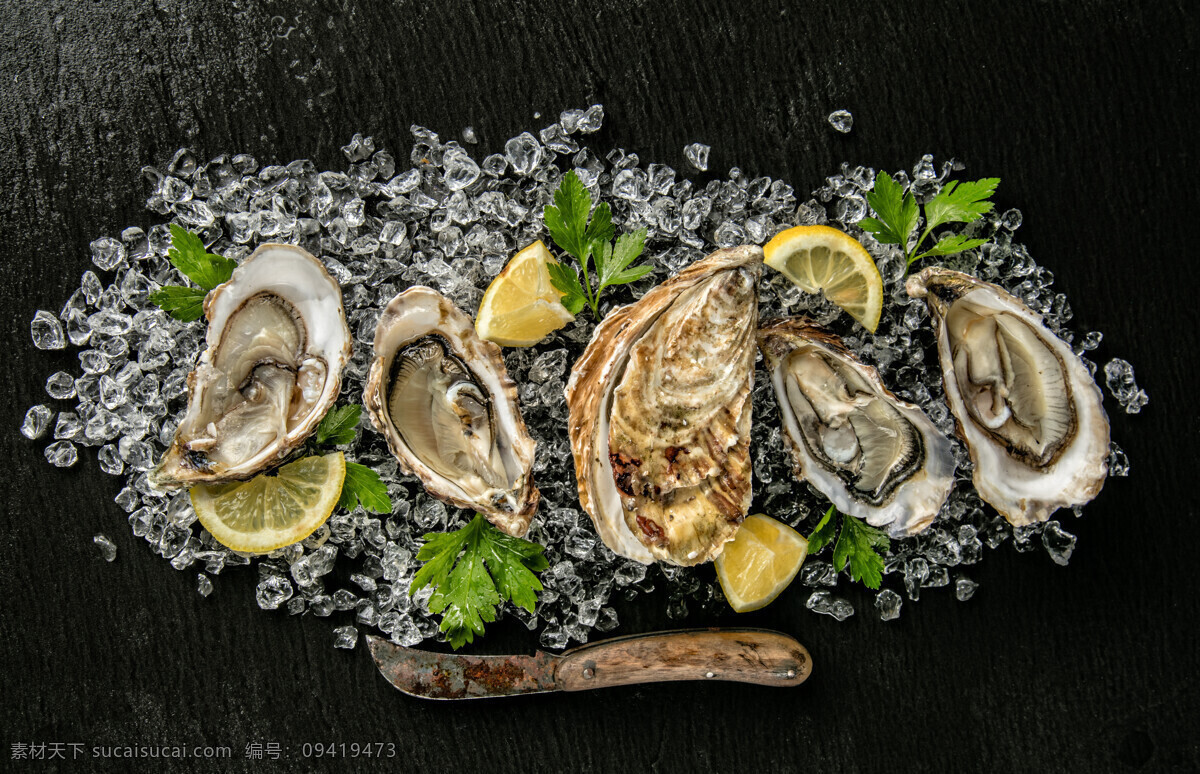 唯美 食物 食品 美食 美味 营养 健康 海鲜 海味 新鲜 新鲜海鲜 生蚝 餐饮美食 食物原料