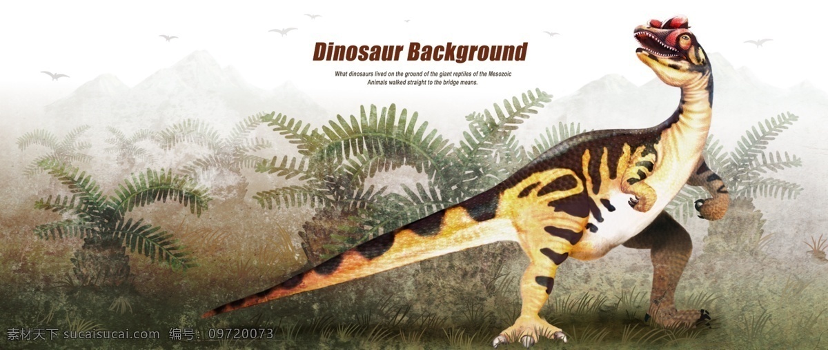 恐龙图片 恐龙 恐龙展架 恐龙乐园 恐龙海报