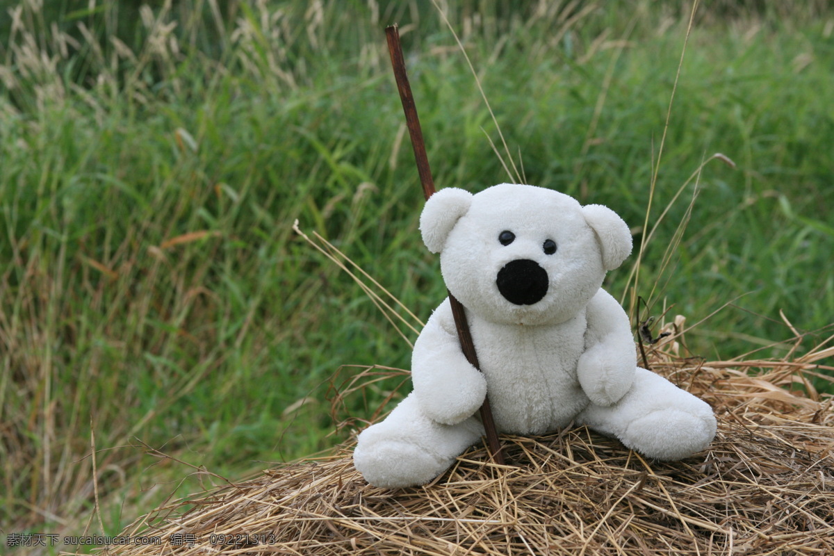 可爱 小 熊 家居摆设 家居生活 可爱小熊 绿草地 毛绒玩具 生活百科 玩偶 坐着的熊