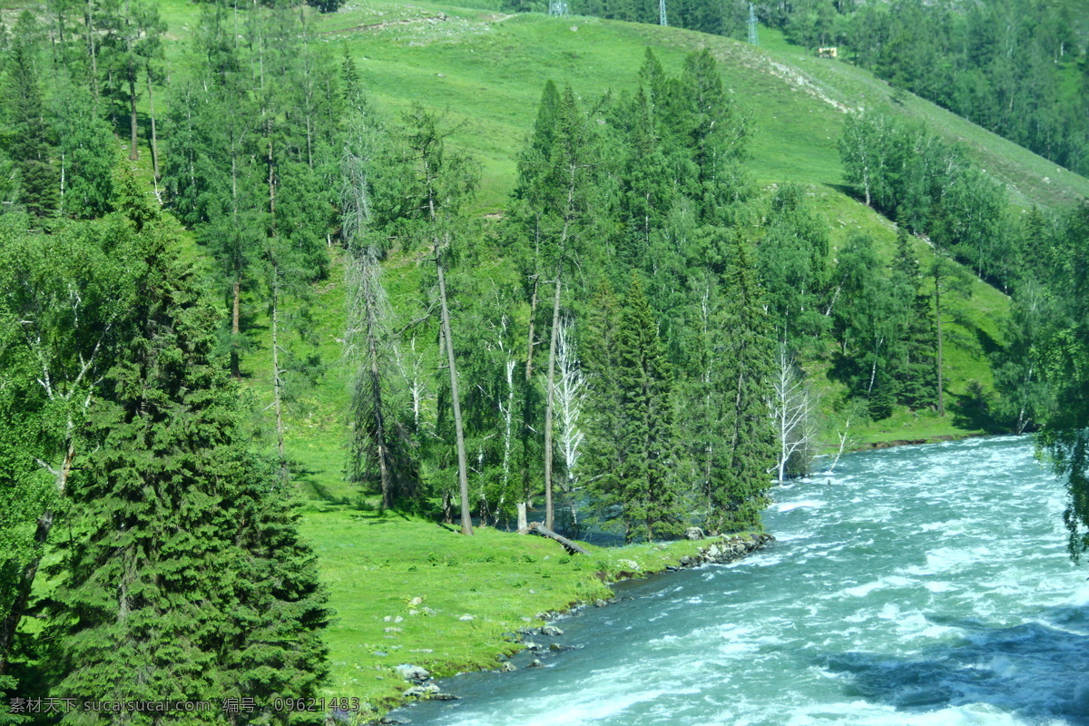森林河流 树林 树木 森林 绿草 原始森林 小溪 溪流 水流 大树 草地 绿茵 绿洲 美丽新疆 国内旅游 旅游摄影
