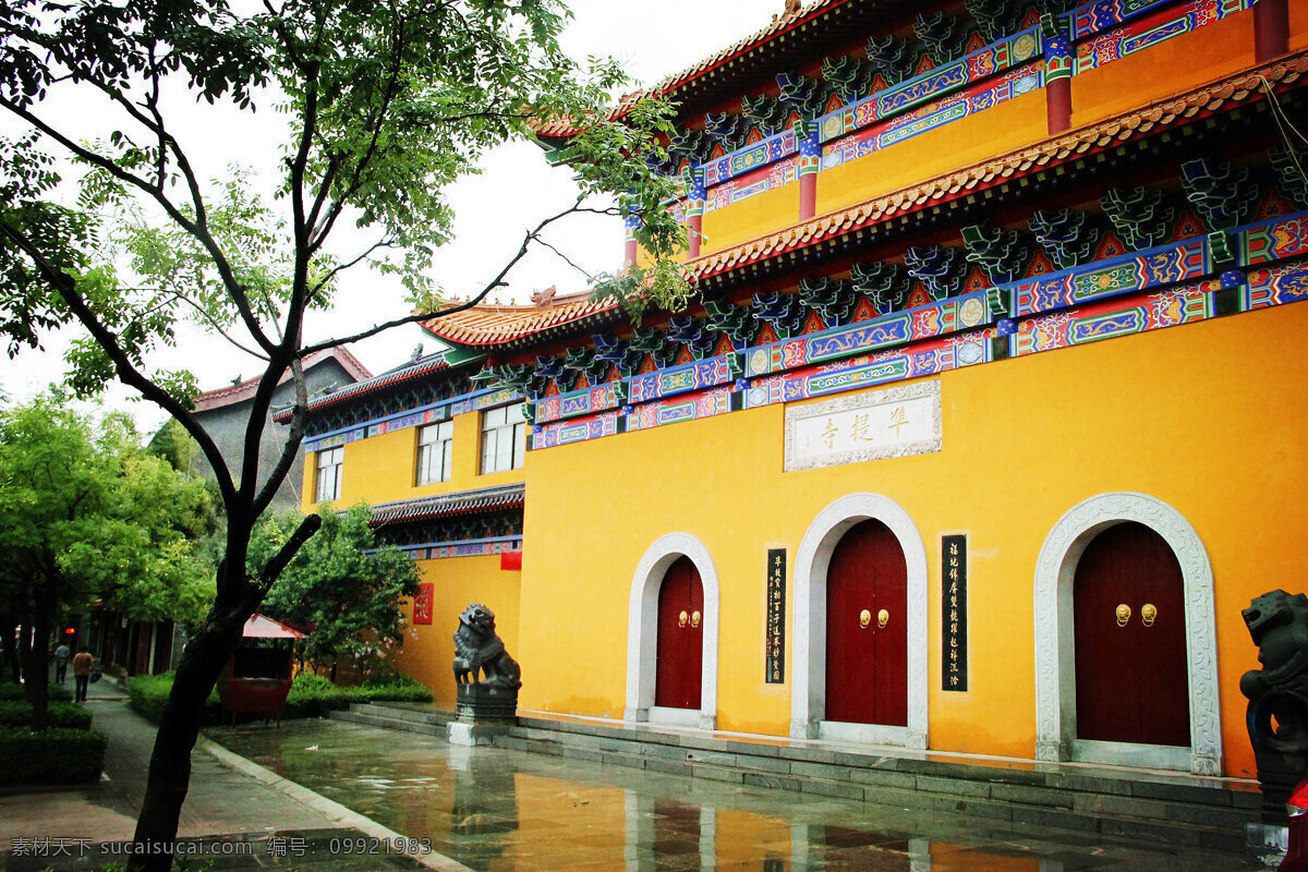 海州 古城 凖 提 寺 凖提寺 寺庙 前 建筑摄影 建筑园林