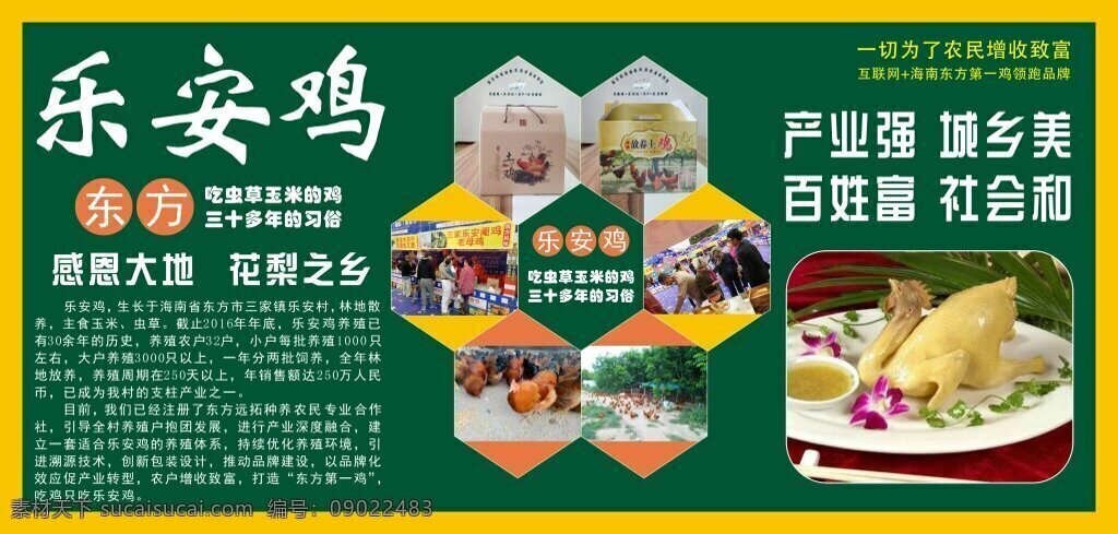 产 业强 城乡 美 乐安 鸡 海报 cdr矢量图 农业产品 乐安鸡 产业强 城乡美
