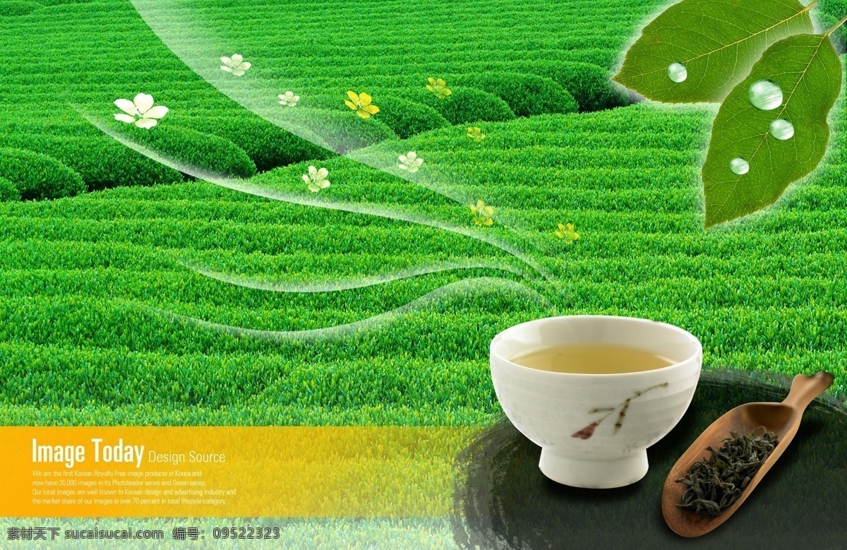 茶叶 广告 分层 茶水 茶叶广告 源文件 字母 模板下载 茶叶林 矢量图 艺术字