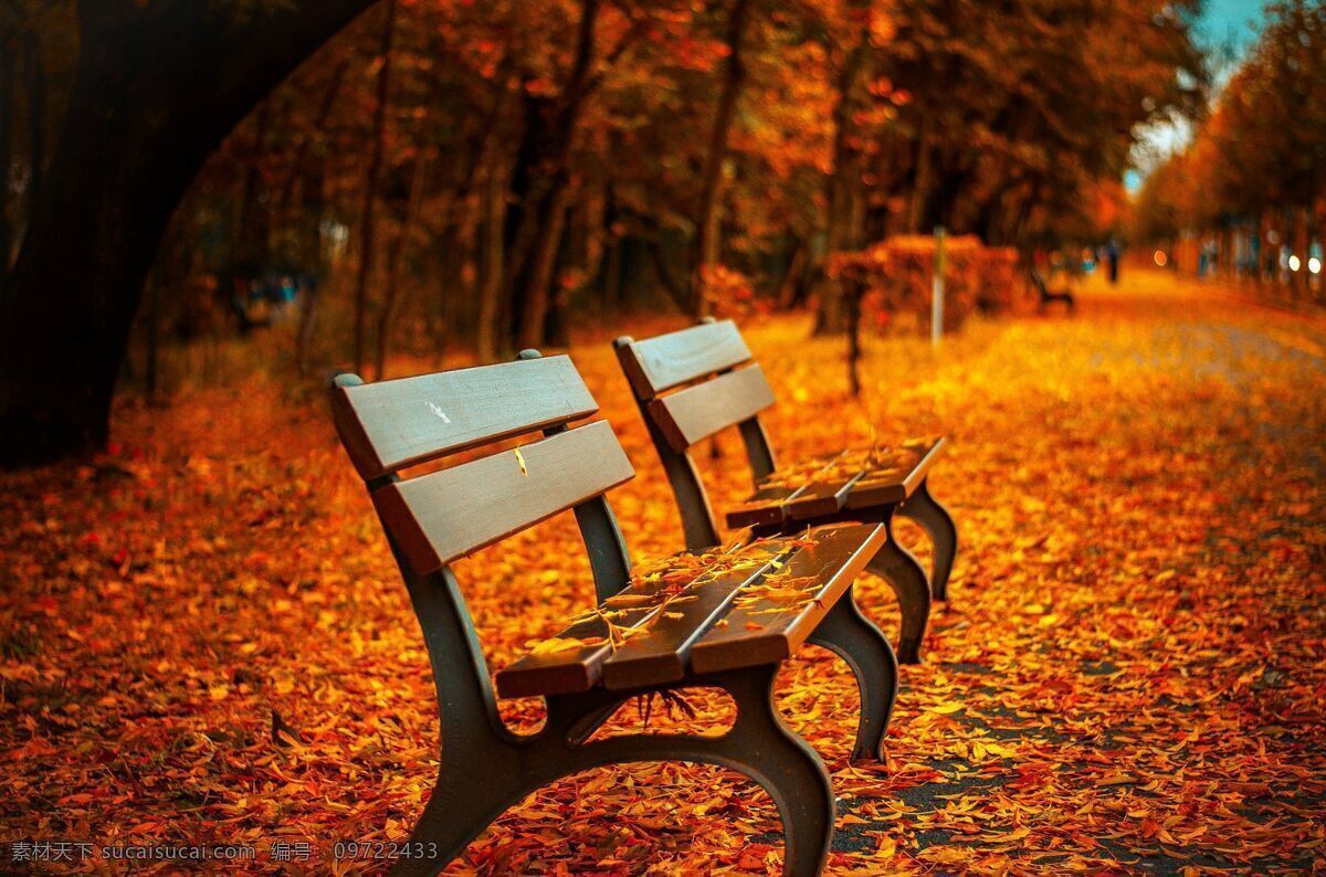 公园 橙色 系 椅子 落叶 文件 叶子 图片上传 自然景观 人文景观