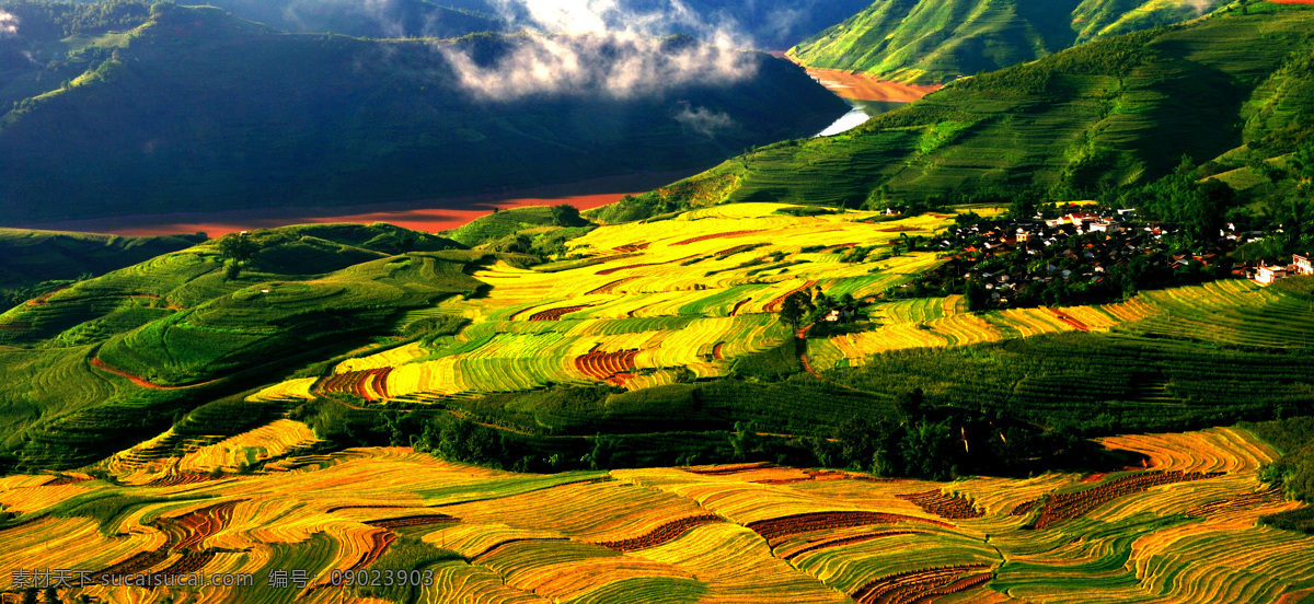 金色的菠萝村 思茅 普洱 旅游
