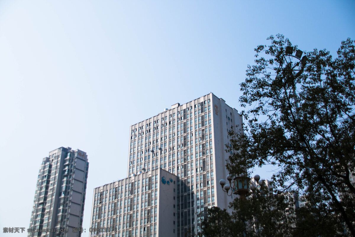 建筑 房屋 蓝天 海报 背景 海报背景 树木 树 房子 城市 楼房 高楼 办公楼