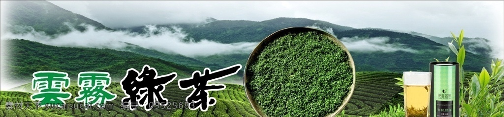 茶背景 云雾绿茶 绿色 云雾 茶海报 云雾绿茶广告