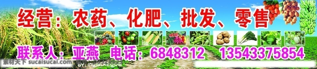 农药化肥 水稻 蓝天白云 香蕉 荔枝 龙眼 瓜果 矢量