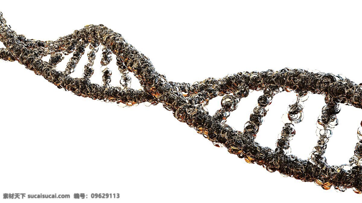 dna 螺旋 曲线 科学 医药 生物学 医疗 分子 技术 研究 化学 结构 生物技术 基因 遗传 细胞 染色体 演化 3d 钢绞线 微生物学 人类 生物 模型 镜 给予 蓝色 摄影图片 现代科技 科学研究