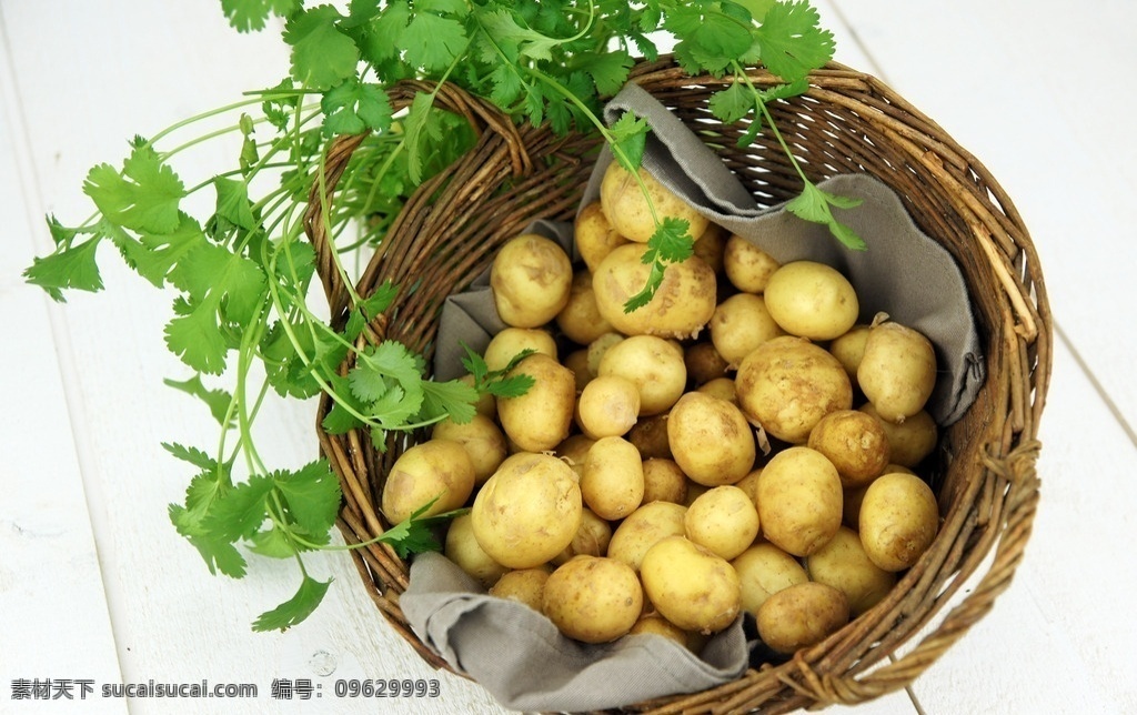 马铃薯 薯仔 洋芋 大土豆 生土豆 蔬菜 生物世界