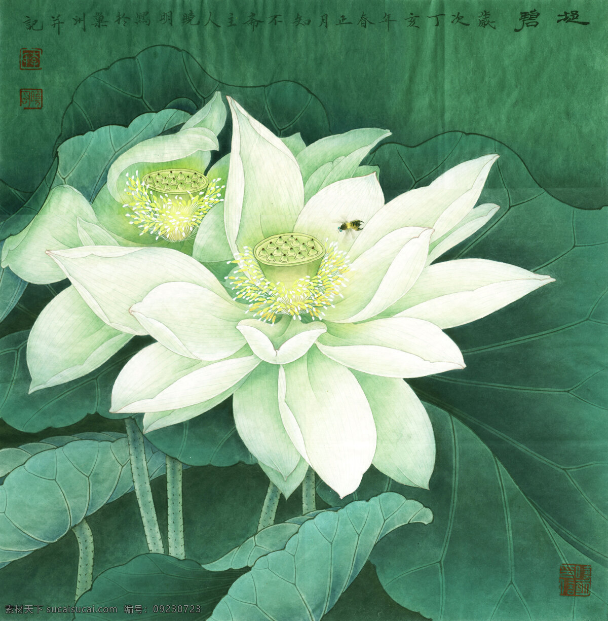 荷花 荷韵 莲花 国画荷花 水墨荷花 荷花国画 水墨莲花 工笔荷画 古典荷花 古画 国画 文化艺术 绘画书法