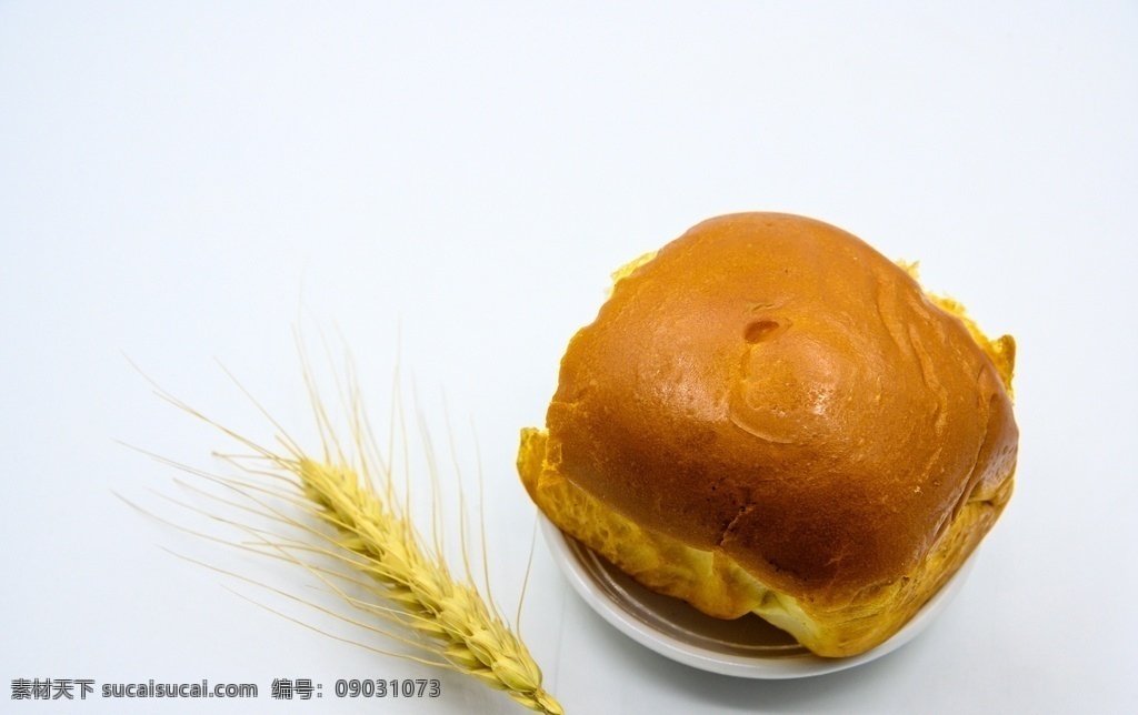 西式糕点 西餐 面制品 低筋面 食物 食品 营养 健康 吃 饮食 享用 主食 烘焙 烤 面食 美味 小麦制品 点心 全麦面包 诱人 简单 白色背景 容器 白瓷碟 小麦 麦穗 收获 植物 秋季 秋天 装饰 特写 甜 香甜 餐饮美食 传统美食