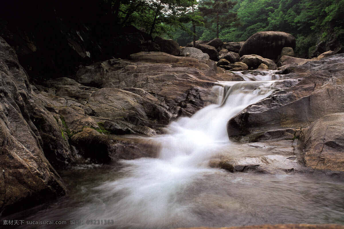 树免费下载 风景 绿色 山水风景 摄影图 树 植物 自然景观 水 家居装饰素材 山水风景画