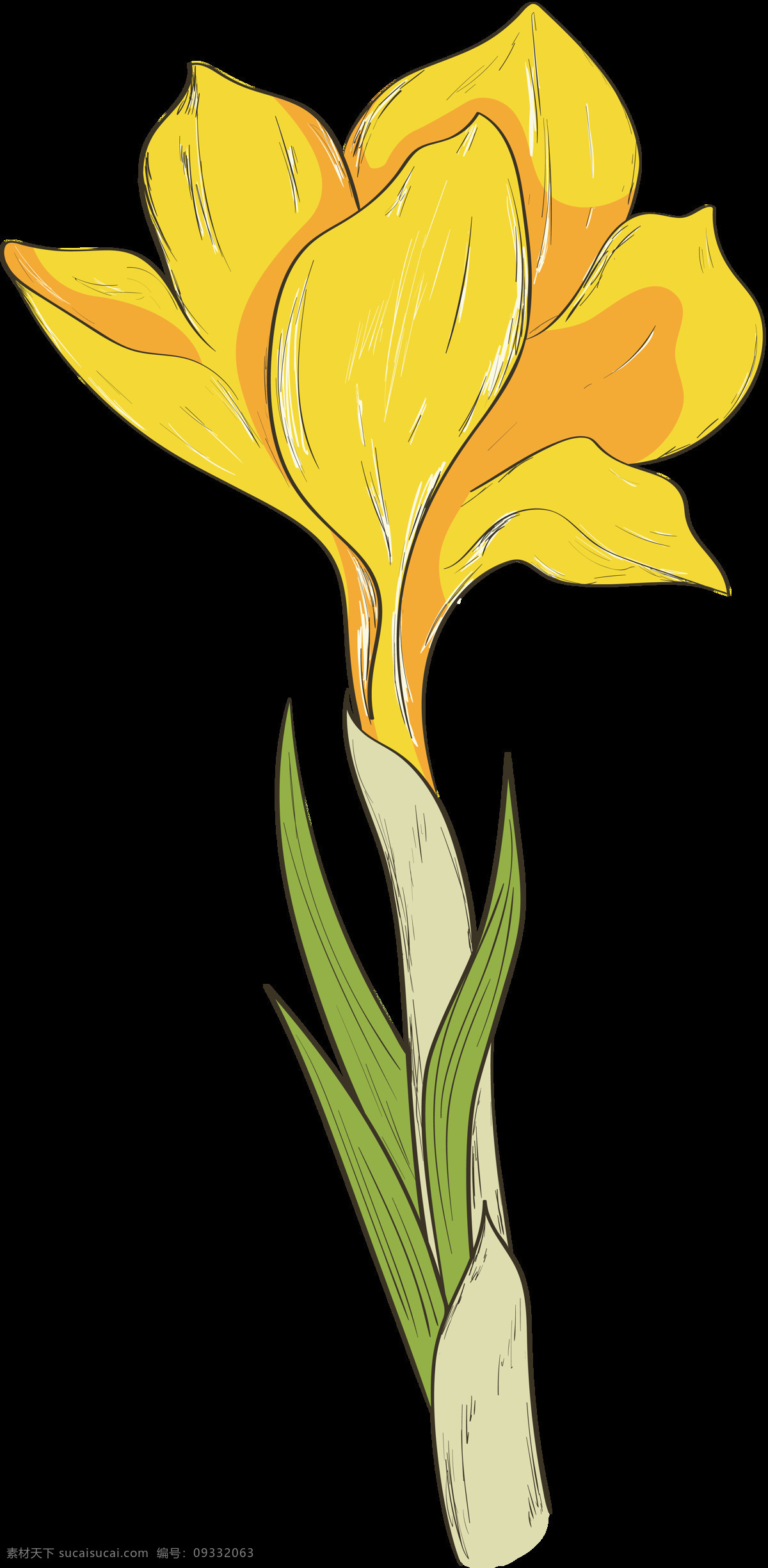 手绘 朵 绽放 黄色 花 透明 花朵 花瓣 绿叶 平面素材 设计素材 矢量素材 水彩