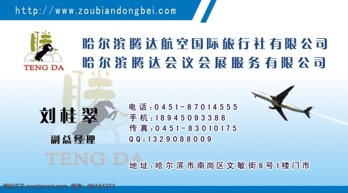 旅游名片 旅游 名片 航空 名片设计 飞机 淡蓝色 个性名片 名片卡片 广告设计模板 源文件