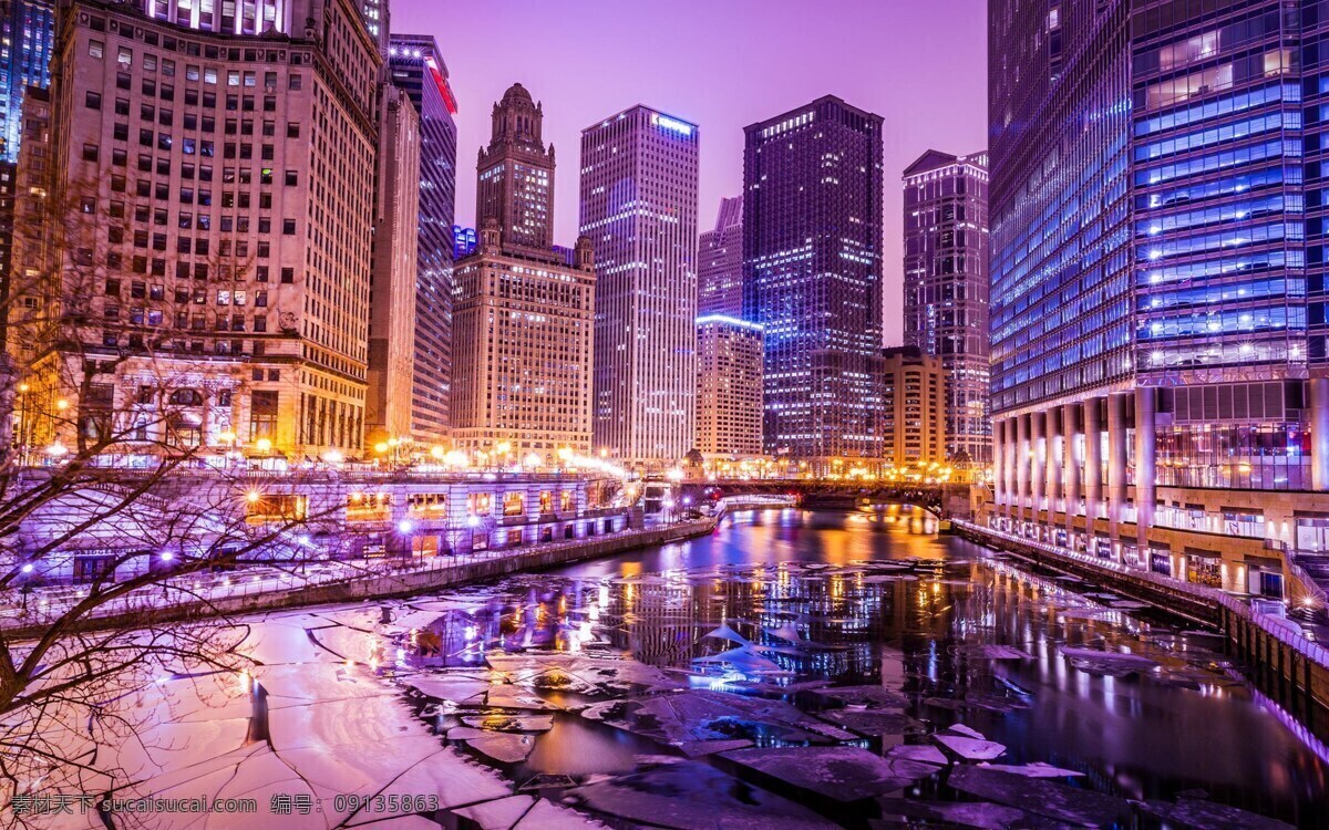 美国 伊利诺伊州 城市 风景