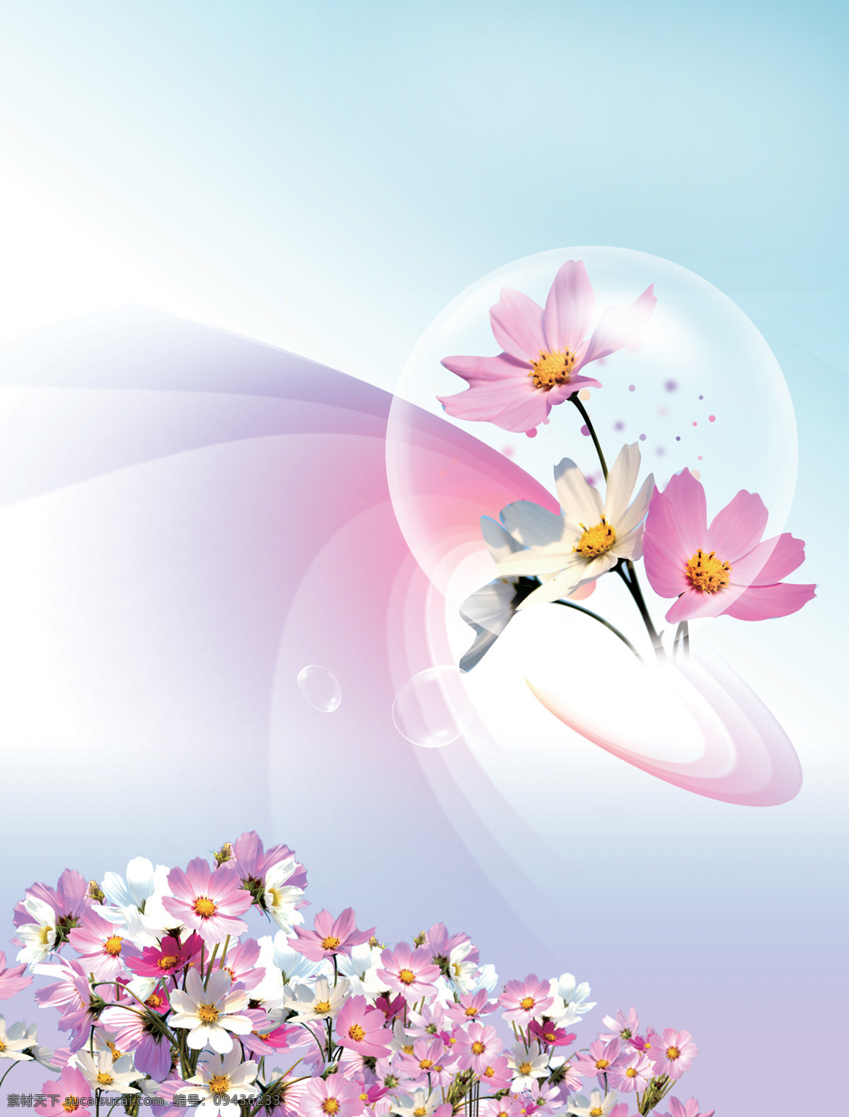 彩 菊 飘扬 彩虹 菊花 葵花 两门图 泡泡 移门图库 彩菊 美丽鲜花 家居装饰素材