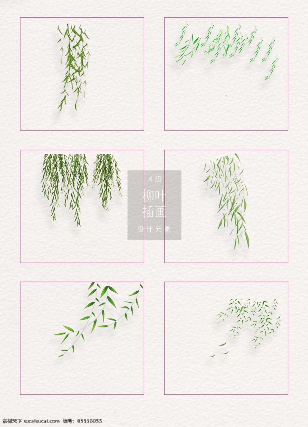 绿色 清新 柳叶 插画 卡通 自然 手绘